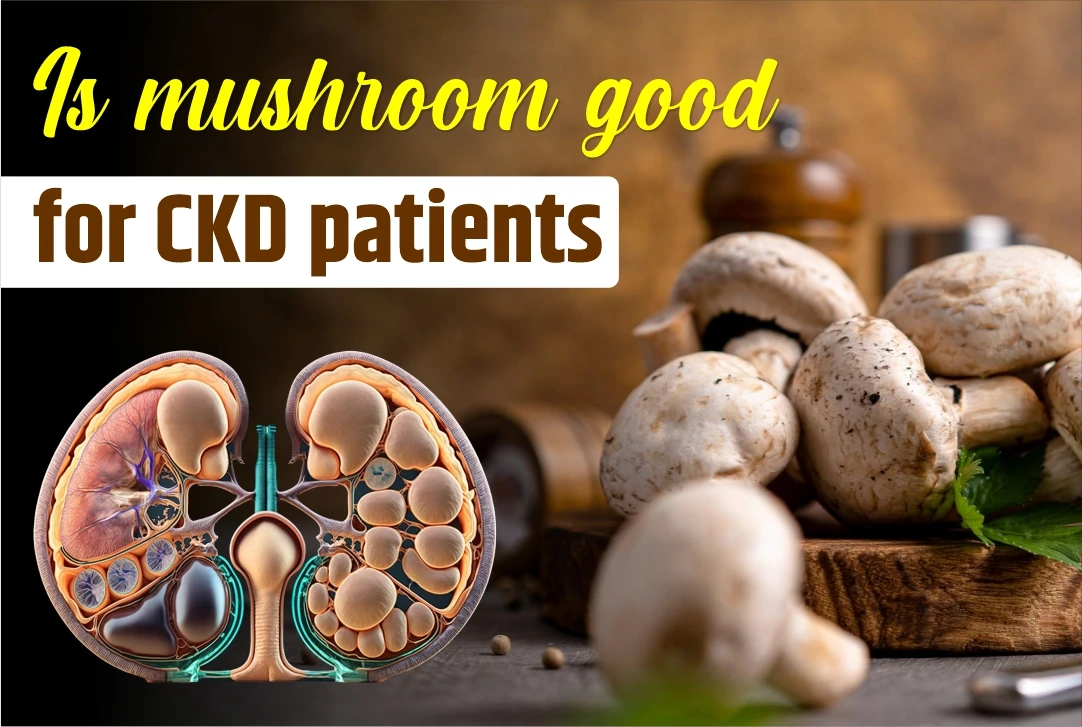 Is Mushroom Safe for CKD Patients?